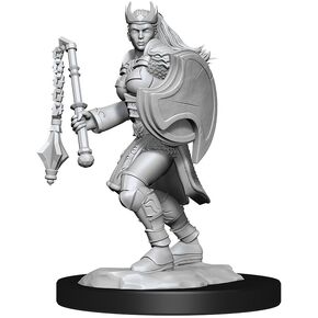D&D Nolzur's Marvelous Miniatures: Kalashtar Cleric Female