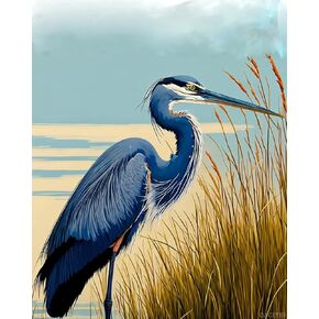QACEYID Paint by Numbers Kits with Brushes and Acrylic Color DIY Canvas Painting for Adults Beginner, Paint by Numbers DIY Oil Painting Blue Heron Bird 16 x 20 Inch (Without Frame)