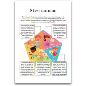 Five Senses Facts Poster - Educational For Gradeschool Homeschool Classoom - 12 x 18 Inch Premium Gloss Poster - For Classrooms Dorms And Home Decor - Made in USA - FHJP0426