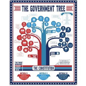 US Government Tree Classroom Poster, 16" x 20" Us History Posters for Classroom Middle High School Educational Social Studies Class Decorations
