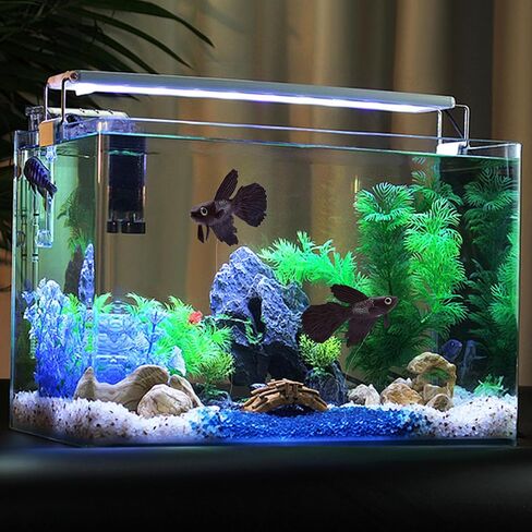 Fake Fish, Silicone Funny Artificial Fish, Ornament Small Slastic Aquarium Fake Fish for Aquarium Tank Decor, Swimming Fish Toy Play with Fish (Brown Betta) in Saudi Arabia