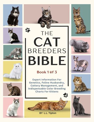 The Cat Breeders Bible: نظرة خبراء على علم الوراثة والإدارة والعرض وتربية الألوان لميراث القطط (The Cat Breeders Bible: ... ومخططات تربية الألوان لا غنى عنها) in Saudi Arabia