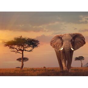 Ravensburger - African Elephant - 500 Piece Jigsaw Puzzle - Stunning, Vivid Imagery of a Majestic Elephant in The Savanna - Earthy Colors - Ideal Gift - Frameable Art - Puzzles for Adults