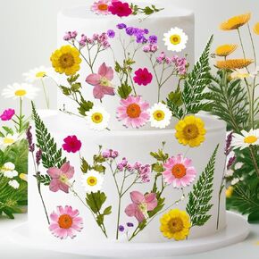 48Pcs Wildflower Cake Topper, Tyotrbs Dry Flowers For Cake Decoration Wildflowers Decor Baby In Bloom Cake Decorations for Women Birthday Bridal Shower Wedding Party Decoration