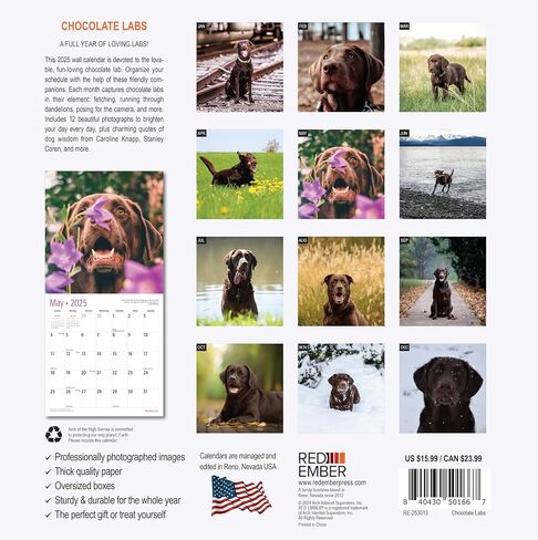 RED EMBER Goldendoodles 2024 Hangable Monthly Wall Calendar | 12" x 24" Open | Thick & Sturdy Paper | Giftable | Cute Dog | Good as Golden in Saudi Arabia