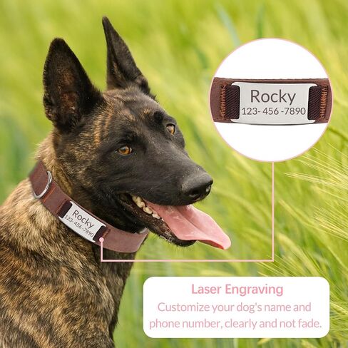 Custom Tactical Dog Collar with Name Tag Personalized Military Nylon Dog Collar with Control Handle Metal Buckle Adjustable for Medium Large Dogs Walking Training in Saudi Arabia