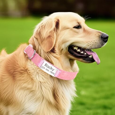 Custom Tactical Dog Collar with Name Tag Personalized Military Nylon Dog Collar with Control Handle Metal Buckle Adjustable for Medium Large Dogs Walking Training in Saudi Arabia