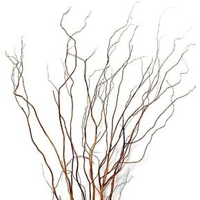 All Natural Curly Willow Branch Tips 12-30 Inches Long - Great for Crafts, Decoration, Vase Filler, Wedding or Event Decor (40 Branches)