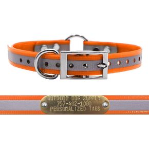 Outdoor Dog Supply's 3/4" Wide Reflective Ring in Center Dog Collar Strap with Custom Brass Name Plate (18" Long, Reflective Orange)