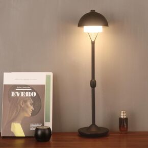 Modern Table Lamp Cordless Portable Desk Lamp, 2700K Stepless Dimming Rechargeable Battery Operated LED Lights for Bedroom, USB-C Charging, Restaurant/Bar/Night Light/Gifts (Brushed Nickel)