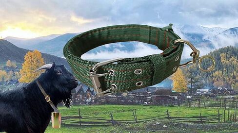 Adjustable Four-Layer Nylon Thickened Cow Collar with 2-Rows Metal Buckle and Traction Chain for Horse, Sheep, Cattle, Dog, Camel (57inch) in Saudi Arabia