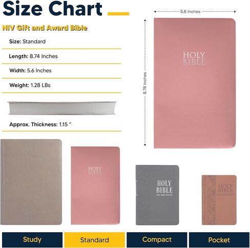 Personalized NIV Bible Faux Leather Small Print Economy Bible with Custom Name at The Lower Right Side & Red-Highlighted Verses, Custom Gift for Christian & Religious Events | Pink in Saudi Arabia