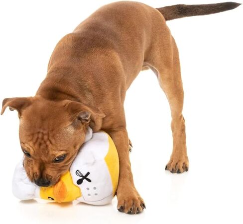 Fuzzyard Waddle Squad-Lood ألعاب كلب متنوع (Ducktor) in Kuwait