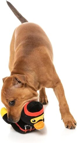 Fuzzyard Waddle Squad-dle Assorted Plush Dog Toys (Ducktor) in Kuwait