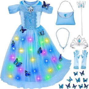 Light-Up Princess Cinderella Costume for Girls Birthday,Christmas Dress Up with Accessories