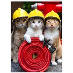 Funny Cat Birthday Card for women, men, family & friends - hilarious greeting card if you need help putting out your candles!