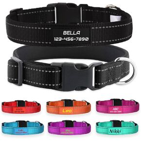 Custom Reflective Nylon Dog Collar with Personalized Name & Phone Number | Adjustable 5 Sizes and 3 Fonts | Soft Neoprene Padding for Male Female Puppies and Dogs,Rose Red