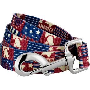 Country Brook Design - 1 Inch Patriotic Tribute Leash - Americana Collection with 6 Patriotic Designs (6 Foot)