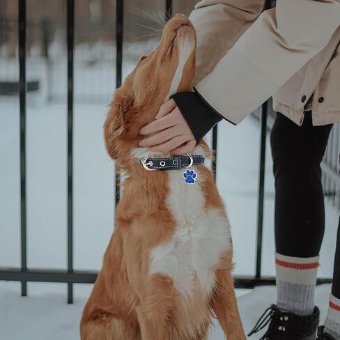 LINMAGCO Reflective Personalized Dog Collar with Bells Soft Leather Style Sturdy & Adjustable Collar with Engraved Nameplate for Small Medium Large Dogs,Blue in Saudi Arabia