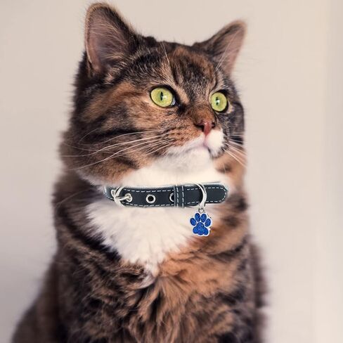 LINMAGCO Reflective Personalized Dog Collar with Bells Soft Leather Style Sturdy & Adjustable Collar with Engraved Nameplate for Small Medium Large Dogs,Blue in Saudi Arabia
