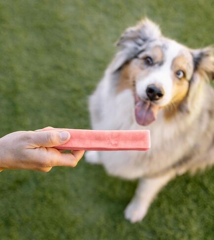 Downtown Pet Supply Strawberry Yak Chews for Dogs, Nutrient-Rich Himalayan Dog Chews, Long Lasting, Odorless and Easy to Digest - 1 LB in Kuwait