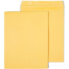 Staples 534826 Self-Sealing Catalog Envelopes 12-Inch X 15-1/2 Brown Kraft 100/Box