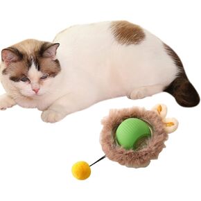Interactive Cat Ball Toy Set, Automatic Rolling Chase Ball with Fluff Tail，A Small Mice with LED Light, Rechargeable