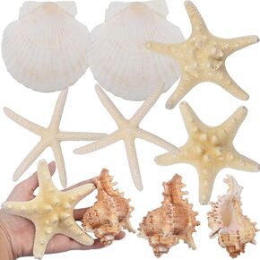 8PCS Starfish Seashells for Crafts, Mixed Large Starfish Hawaiian Scallop Shell Sea Conch Fish Tank Ornaments for Beach Theme Party Painting DIY Home Wedding Decorations