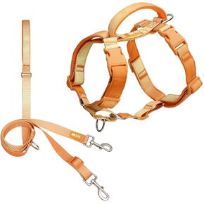 DF Martingale No Pull Dog Harness and Two Point Control Training Leash for Dog Walking Only Works with Martingale Harnesses, Orange, Chest 28"-33"