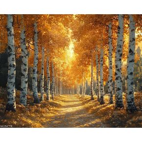 WUIVCTR DIY Paint by Numbers for Adults Beginner, Birch Trees in Golden Light, Paint by Numbers Kit Painting by Numbers for Adults, 16"x20"