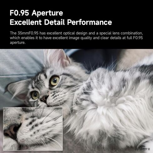 عدسة كاميرا Nikon Z Mount مقاس 35 ملم F1.2 - أسود in Saudi Arabia