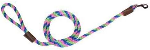Warner Braided Nylon Rope Snap Lead Dog Leash 1/2" X 6 Ft. (Orange) in Saudi Arabia