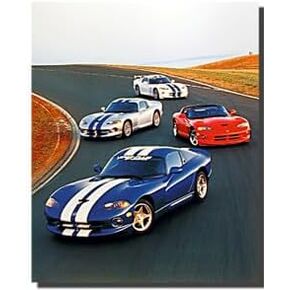 Classic Dodge Vipers on Track Racing Sports Car Wall Decor Art Print Poster (16x20)