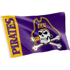 Desert Cactus East Carolina University Flag Pirates ECU Flags Banners 100% Polyester Indoor Outdoor 3x5 (Team Name)
