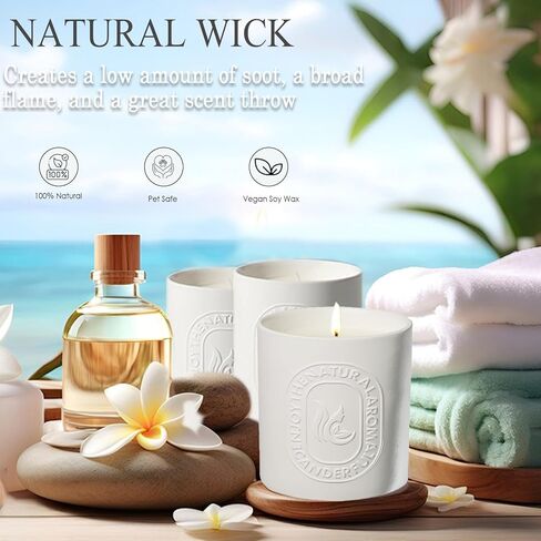 شمعة العلاج العطري الكلاسيكية من السيراميك - فول الصويا الطبيعي، 5 أونصة/150 جرام، حرق لمدة 30 ساعة - رائحة منزلية مثالية، هدايا رائعة للنساء (الحمضيات والجريب فروت) in Kuwait