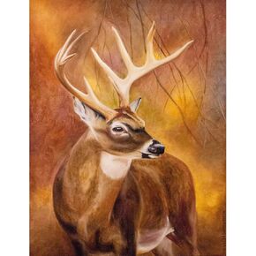 EXPGDCL Deer Diamond Painting Kits for Adults,Gem Art Painting with Diamonds,Forest Diamond Art Kits,Arts and Crafts for Beginners Adult Wall Decor 12x16