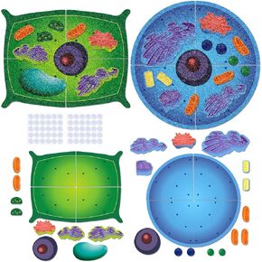 2 Set Giant Felt Animal and Plant Cell Anatomy Model Kits Early Biology Cell Model Life Science Toys Animal Plant Bacteria Science Kit for Boys Girls Classroom Educational Learning