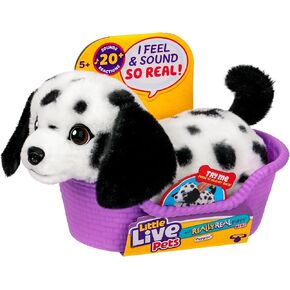 Little Live Pets My Really Real Puppy Minis- Pepper The Dalmatian | Interactive Puppy with 20+ Sounds & Reactions- Includes Basket for Display. Fun & Adorable Gift for Kids (11cm/4.3in Tall)