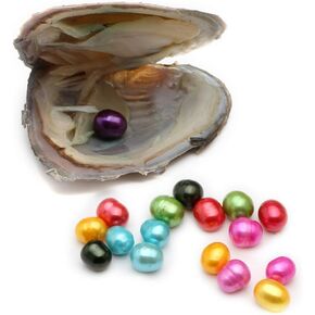 10PC Freshwater Pearl Cultured Oyster with Pearls Inside - Love Wish Gift for Children, Family, Friends - Perfect for Parties (6-8mm, 10PC)