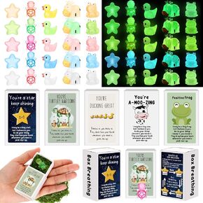 50 Pcs Affirmation Mini Luminous Resin Appreciation Gift Box Breathing Gift Bulk for Coworker Emotional Mental Health Care Support for Team School Xmas, Turtle, Duck, Cow, Star