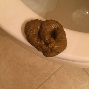 1Pc Fake Poopy Toy, Brown Realistic Fake Poop, Novelty Floating Fake Poop Toys for April Fools' Day Prank, Perfect Gag Gift, Prank Gift Gags & Practical Joke Toys
