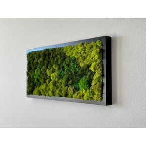 Wall hanging - Unique Moss Wall Art - Moss art design - Home decor - Office decor - Preserved moss - Green wall - Unique gift - Made in USA. (31" X 14") Black