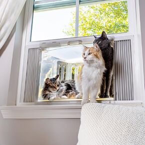 VistaCatio Window Catio – Premium Outdoor Freedom & Joy for Indoor Cats, Enrichment & Stress Relief, Views, Scents & Sounds They Crave, Easy to Clean, Install & Portable, 2-Year Protection, USA Made