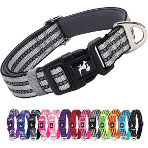Reflective Dog Collar with Soft Neoprene Padded, Adjustable Breathable Nylon Pet Collar for Large Dogs (Silver L)