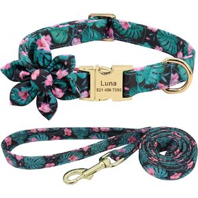 Beirui Custom Flower Girl Dog Collar and Leash Set for Female Dogs- Floral Pattern Engraved Pet Collars with Personalized Gold Buckle(Green Pattern, XS)