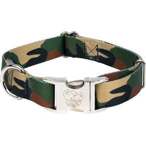 Country Brook Petz - Premium Southern Forest Camo Dog Collar - Camouflage Collection Featuring Rugged Designs (1 Inch, Large)