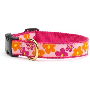 Up Country Beachballs Collar M