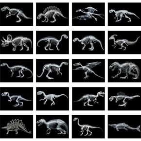 Chunful 20 Pcs Animal X-Ray Kit Wildlife X-Ray Flash Cards Educational Science Kit Light Table Toys Accessory, 11.7" x 8.3'' (Dinosaurs)