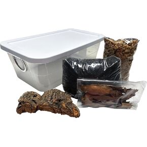 Deluxe Isopod Habitat Kit - Exo-Morphs - Insect Terrarium