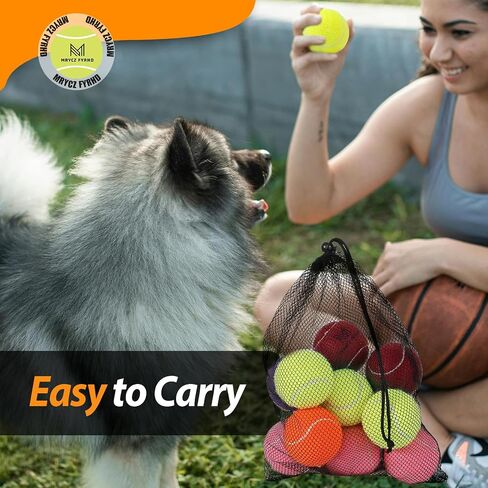 Tennis Ball Dog Toys 4 Pack - Giant 4-Inch Durable and Safe Fetch Tennis Ball for Dogs with Mesh Bag, Large Dog Tennis Balls Perfect for Indoor and Outdoor Interactive Play(Multicolor) in Saudi Arabia